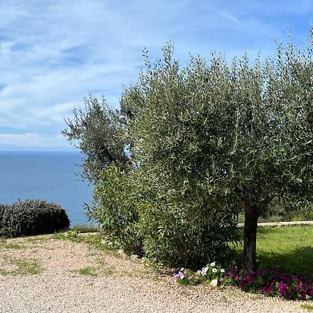 Stella D'Argento Bed & Breakfast Porto Santo Stefano  Dış mekan fotoğraf