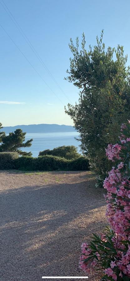 Stella D'Argento Bed & Breakfast Porto Santo Stefano  Dış mekan fotoğraf