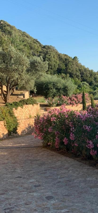 Stella D'Argento Bed & Breakfast Porto Santo Stefano  Dış mekan fotoğraf