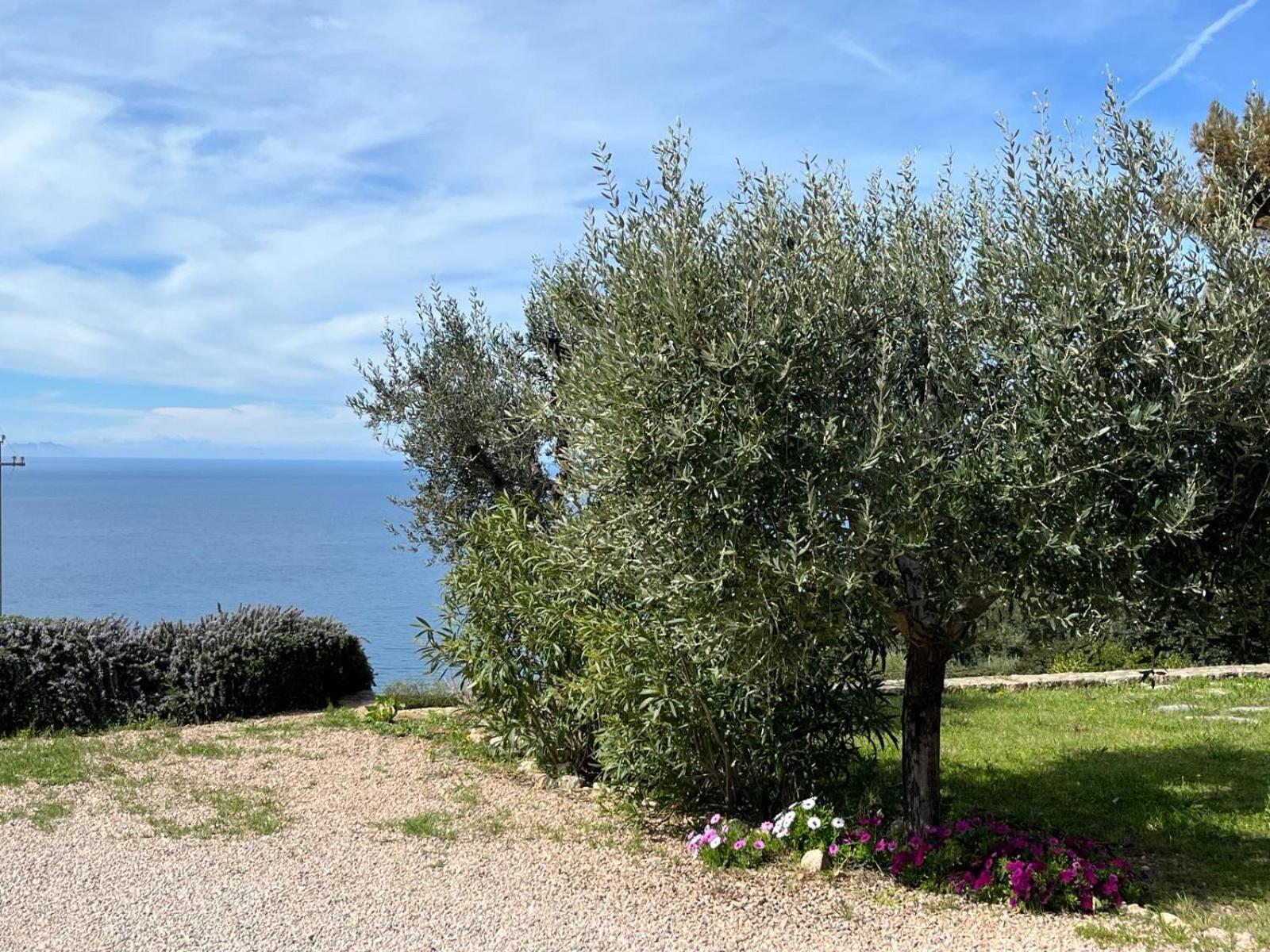 Stella D'Argento Bed & Breakfast Porto Santo Stefano  Dış mekan fotoğraf